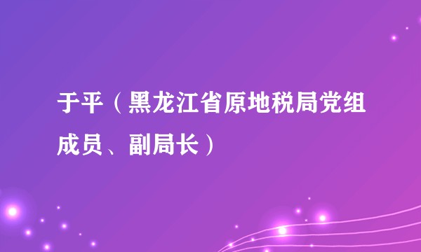 于平（黑龙江省原地税局党组成员、副局长）