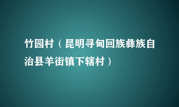 竹园村(昆明寻甸回族彝族自治县羊街镇下辖村)