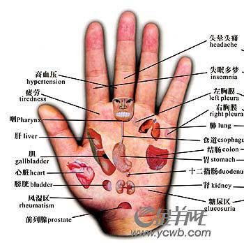 手诊医学