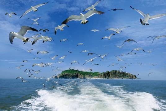 海驴岛风景区