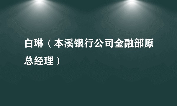 白琳（本溪银行公司金融部原总经理）