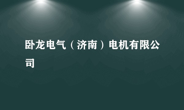 卧龙电气(济南)电机有限公司