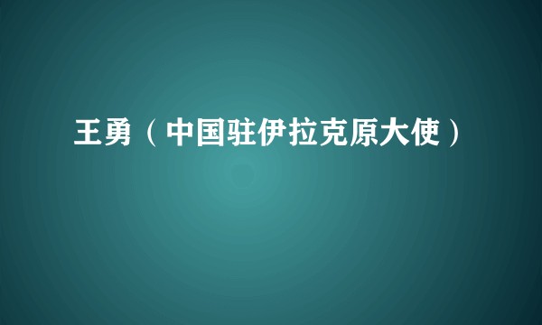 王勇（中国驻伊拉克原大使）
