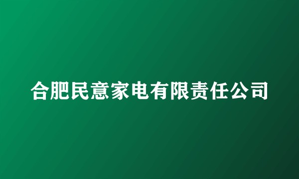 合肥民意家电有限责任公司