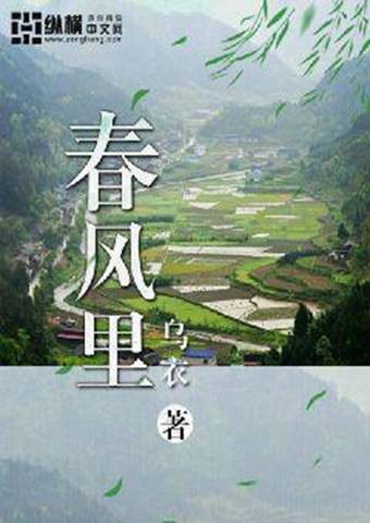 春风里(乌衣创作的现实题材类网络小说)