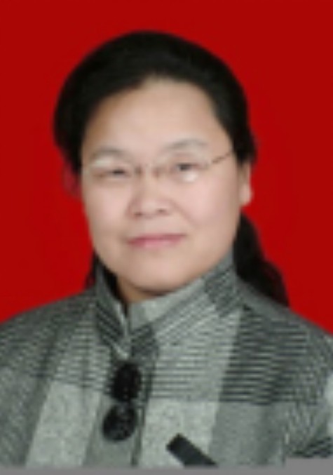 李红霞(西安科技大学教授)