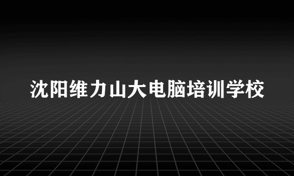 沈阳维力山大电脑培训学校