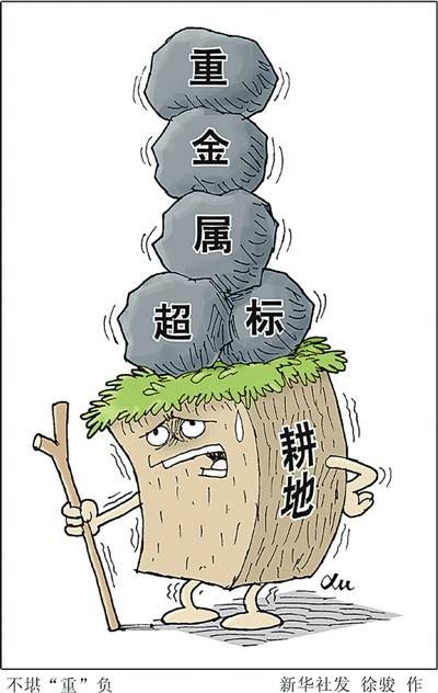 土壤污染物