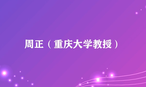 周正（重庆大学教授）