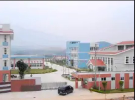 迪克印材(江门)有限公司