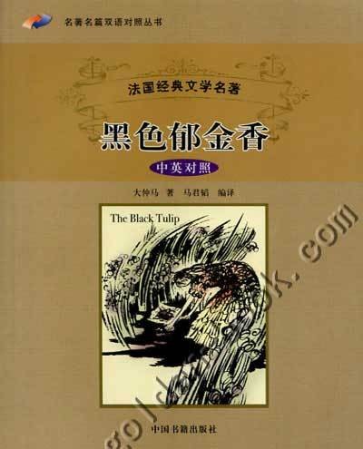 黑色郁金香(中国书籍出版社出版的图书)