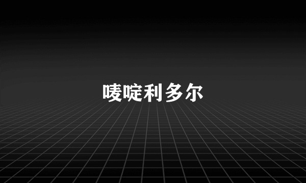 唛啶利多尔