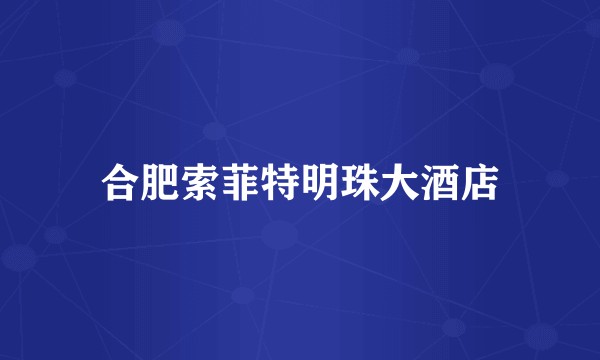 合肥索菲特明珠大酒店