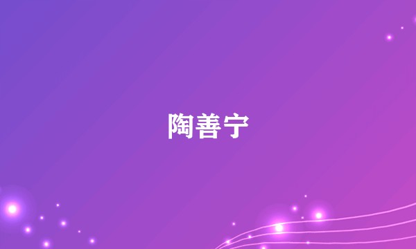 陶善宁