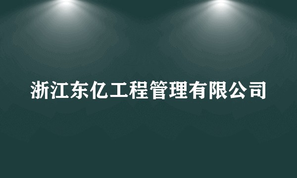 浙江东亿工程管理有限公司