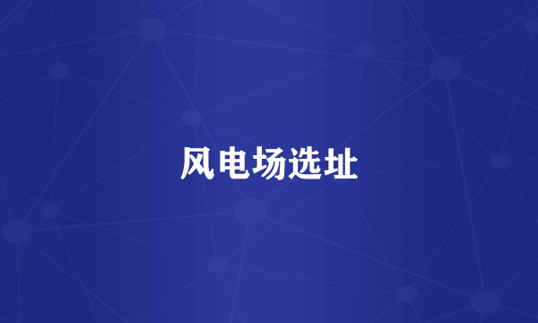 风电场选址