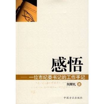 感悟：一位市纪委书记的工作手记