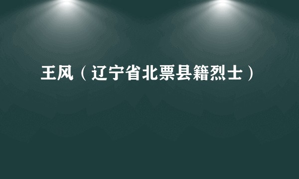 王风（辽宁省北票县籍烈士）