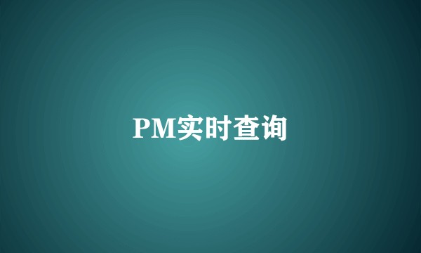 PM实时查询