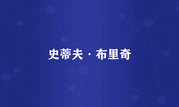 史蒂夫·布里奇