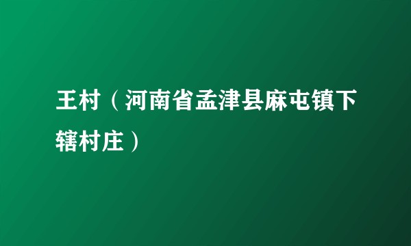 王村(河南省孟津县麻屯镇下辖村庄)