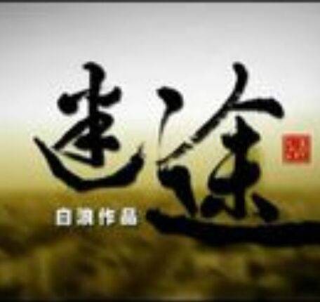 迷途(2010年白浪执导的剧情电影)