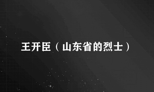 王开臣（山东省的烈士）