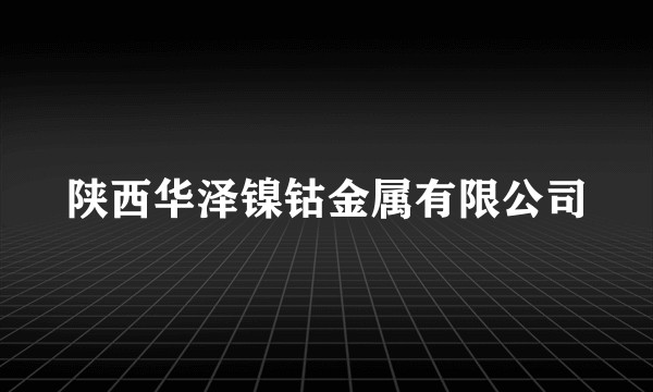 陕西华泽镍钴金属有限公司