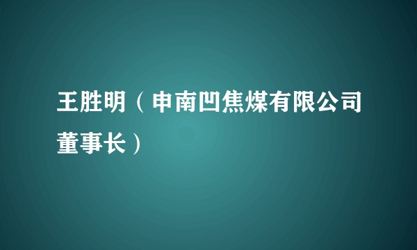 王胜明(申南凹焦煤有限公司董事长)