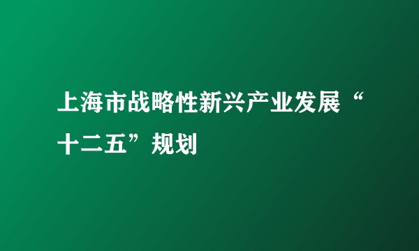 上海市战略性新兴产业发展“十二五”规划