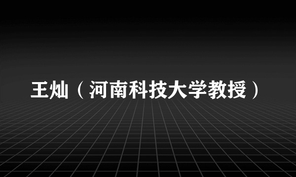 王灿（河南科技大学教授）
