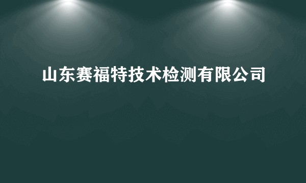 山东赛福特技术检测有限公司