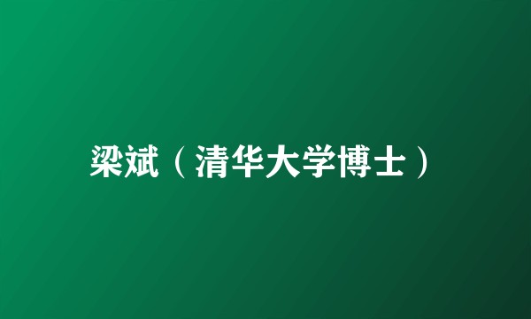 梁斌（清华大学博士）