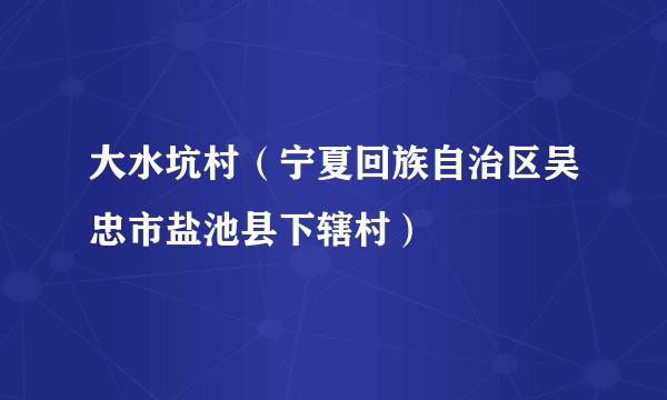 大水坑村(宁夏回族自治区吴忠市盐池县下辖村)