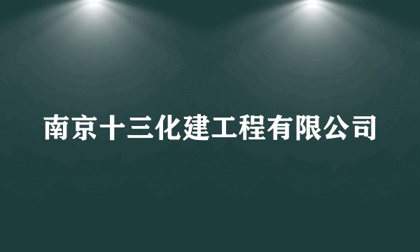 南京十三化建工程有限公司