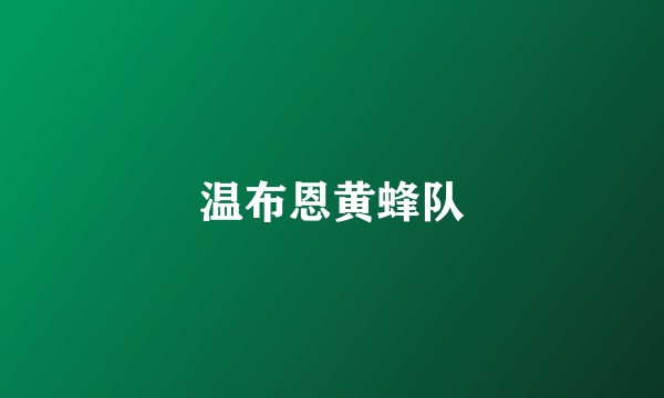 温布恩黄蜂队