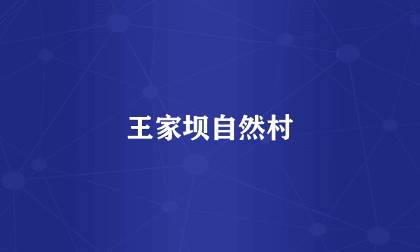 王家坝自然村