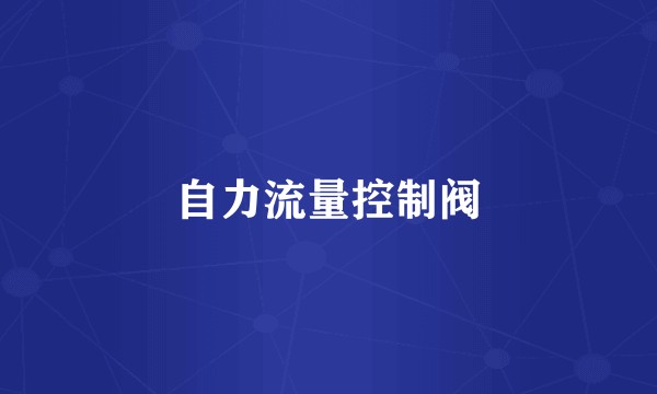 自力流量控制阀