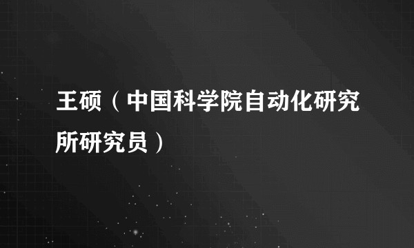 王硕(中国科学院自动化研究所研究员)