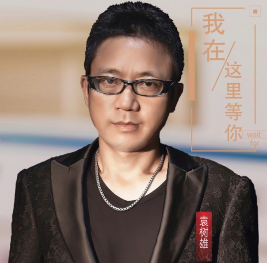 我在这里等你(袁树雄、李玉演唱的歌曲)