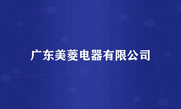 广东美菱电器有限公司