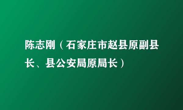陈志刚（石家庄市赵县原副县长、县公安局原局长）