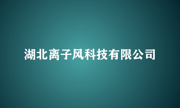 湖北离子风科技有限公司