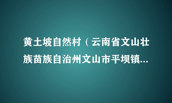 黄土坡自然村(云南省文山壮族苗族自治州文山市平坝镇平坝行政村辖自然村)