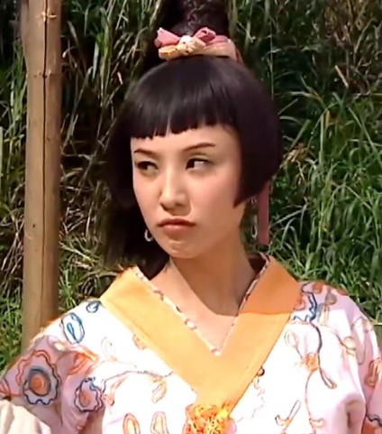 陈细妹(电视剧《秀才爱上兵》人物)