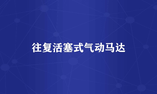 往复活塞式气动马达