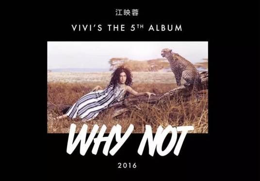 why not（2017年江映蓉发行音乐专辑）