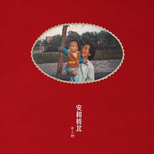 鸽子(2013年宋冬野演唱的歌曲)