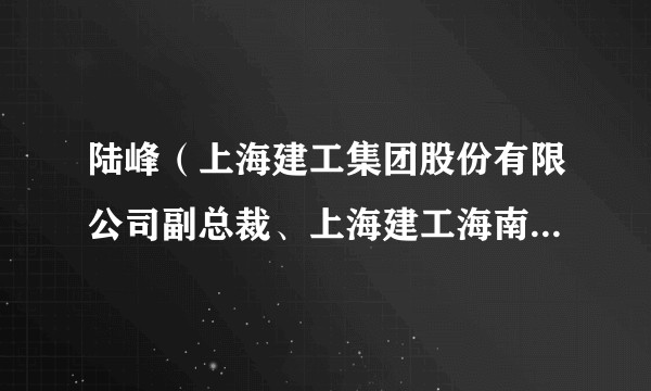 陆峰（上海建工集团股份有限公司副总裁、上海建工海南区域总部总裁）
