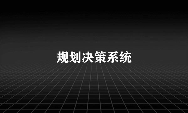 规划决策系统